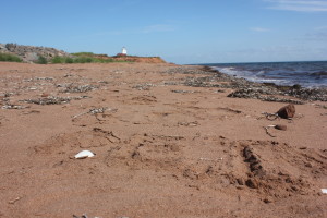 Prince Edward Island, lighthouse