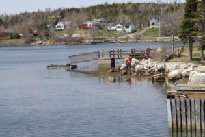 Shad Bay, Nova Scotia