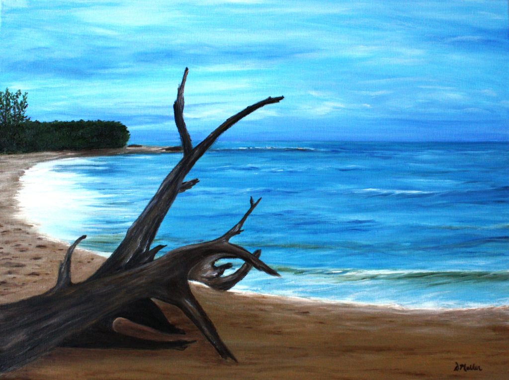 Barbados, Driftwood, ocean, water, waves, beach, vacation, sand beach, Donna's Gallery, Saskatchewan Artist