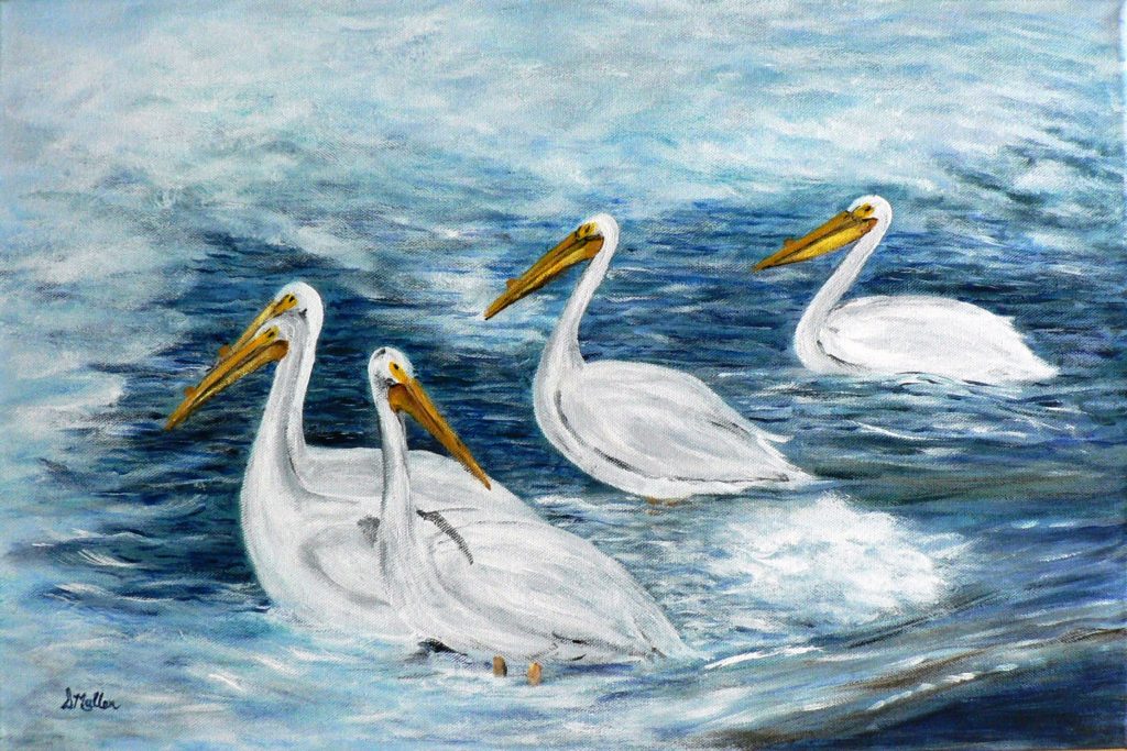 Pelicans, water, saskatoon, weir, Saskatchewan, acrylic painting, Donna Muller, Saskatchewan, Northern, Lake