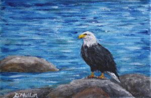 Bald eagle, rock, shad bay, ocean