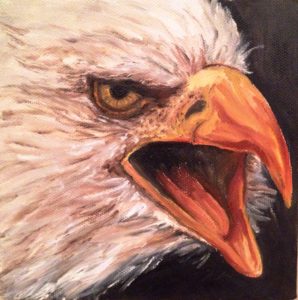 Bald eagle, beck, artist Donna Muller, Tripps gallery