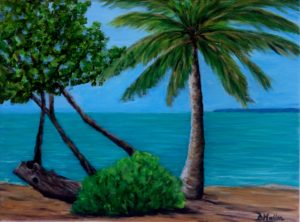 Florida, Key West, beach, tree, palm tree, Fort Zachary, Fort Zachary beach, painting