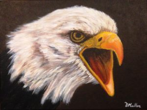 Eagle, bald eagle, painting, acrylic painting, wildlife
