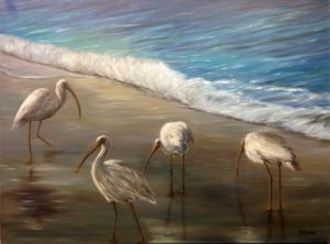 Beach, ocean, florida, ibis, birds, sand, wave, Donna Muller