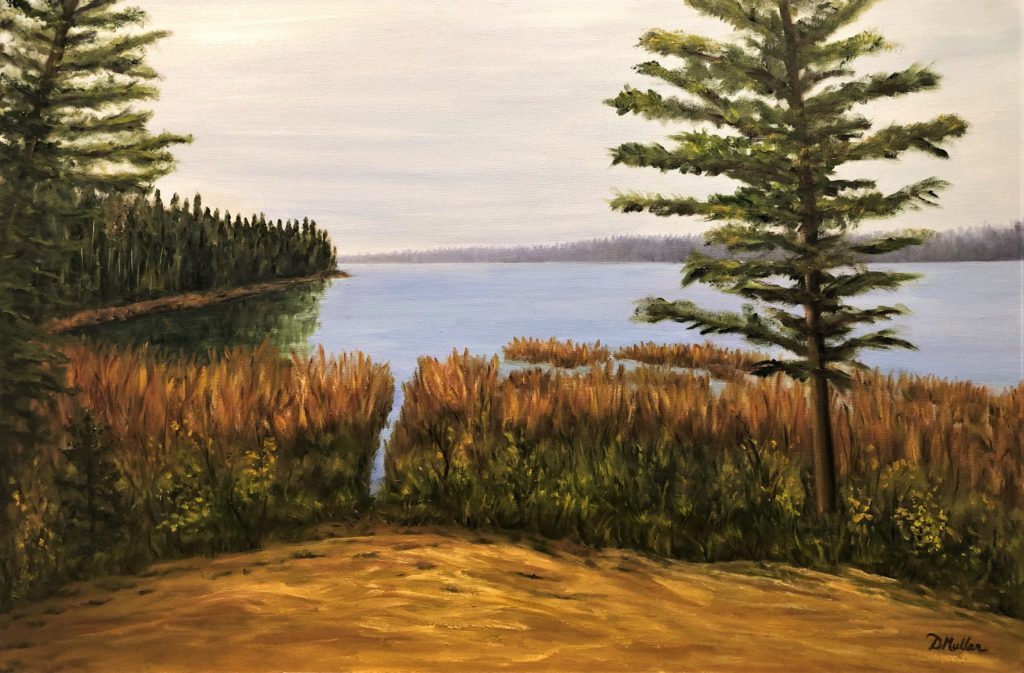 Beaver run, Fur Lake, trees, water, oil painting, Donna's Gallery, Donna Muller, Artist, calm, water, peace, serenity, nature