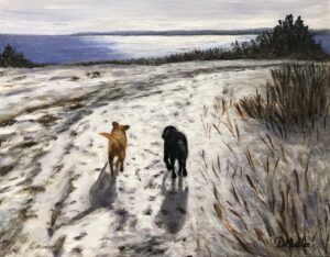 dogs, Nova Scotia, walk, hike, snow, ocean