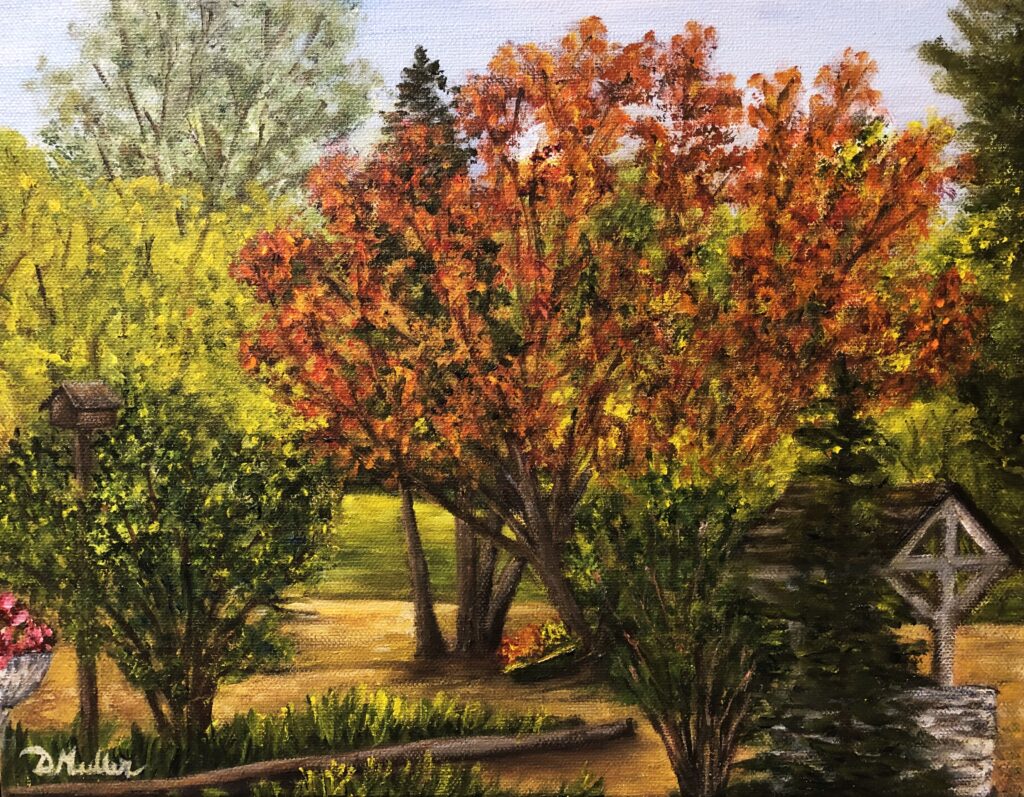 Autumn Trees in a Peaceful Garden, Honeywood, Parkside